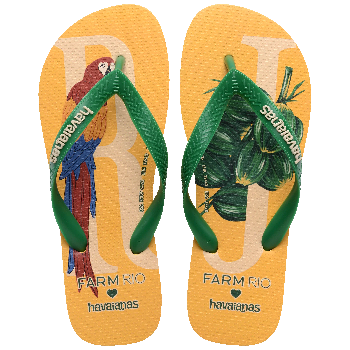 Rio Bird Havaianas