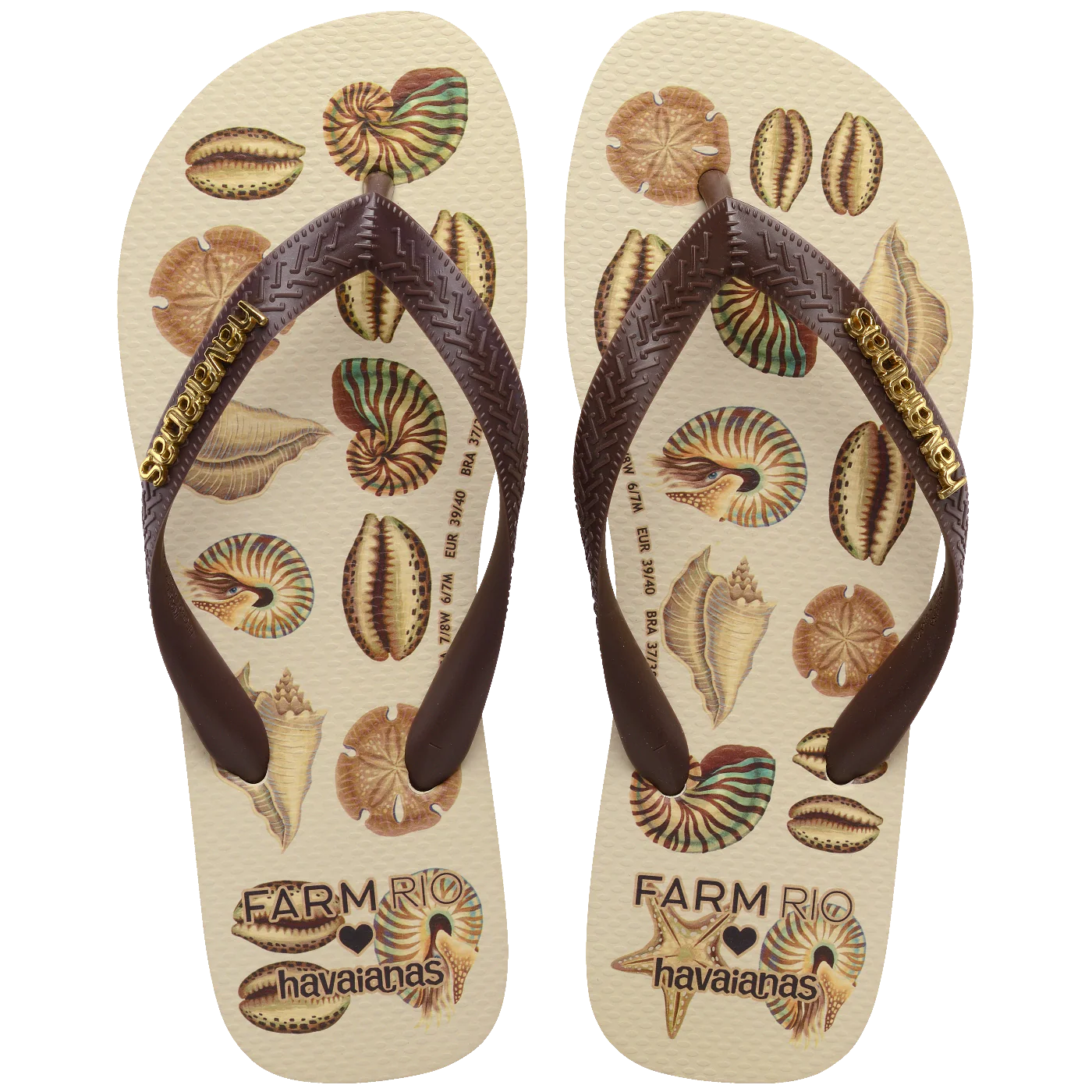 Shells Havaianas
